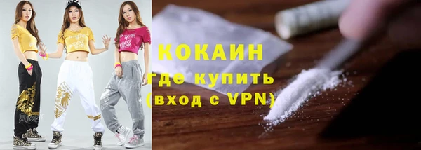 стафф Арсеньев