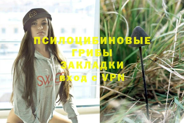стафф Арсеньев
