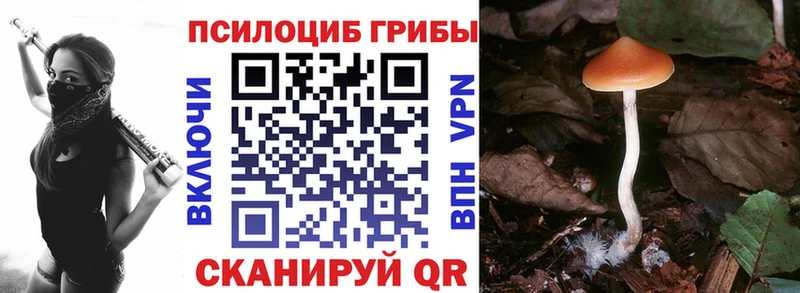 закладки  Заречный  Псилоцибиновые грибы MAGIC MUSHROOMS 
